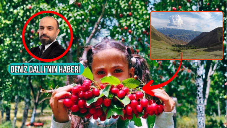 Haber gorseli